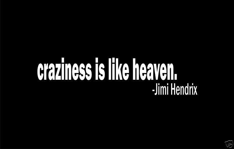 JIMI HENDRIX CRAZINESS IS LIKE HEAVEN COOL QUOTE SHIRT  