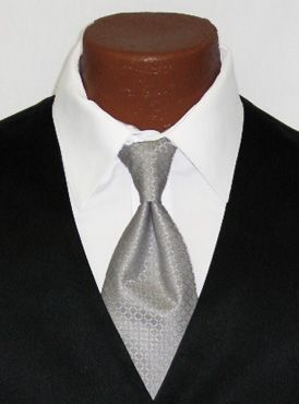 New Boys Calvin Klein Ambassador Long Ties 22 Colors  