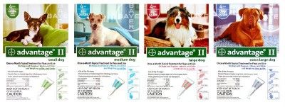 ADVANTAGE ll Dog Flea Medication over 55 lbs Blue 6 Month  