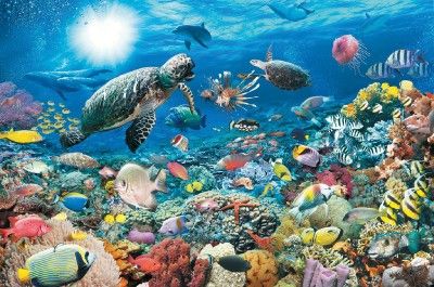 Ravensburger Underwater Tranquility Jigsaw Puzzle   5000 pc 