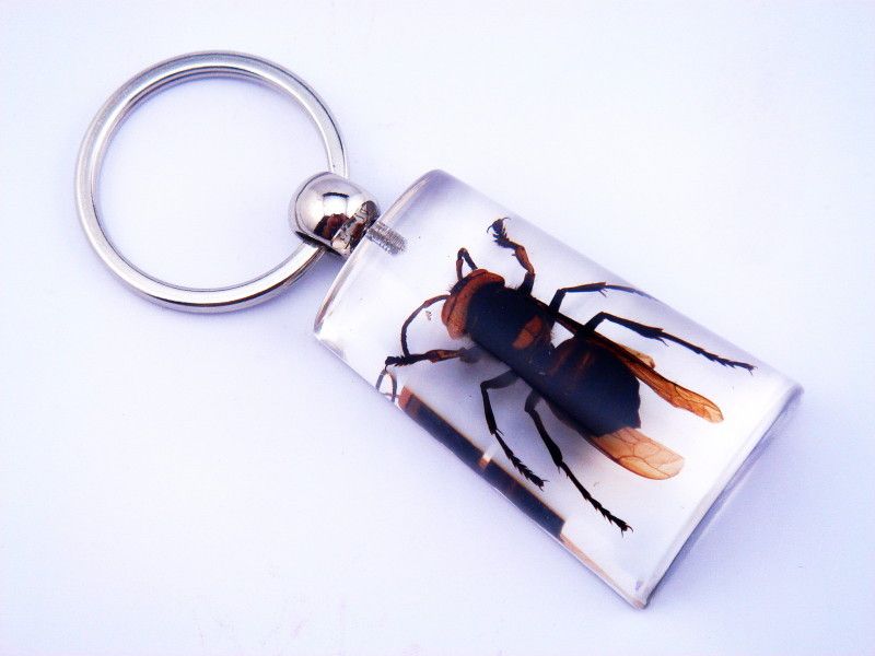 Fossil Amber Like Rare Real Wild Bug Inside Keychain  