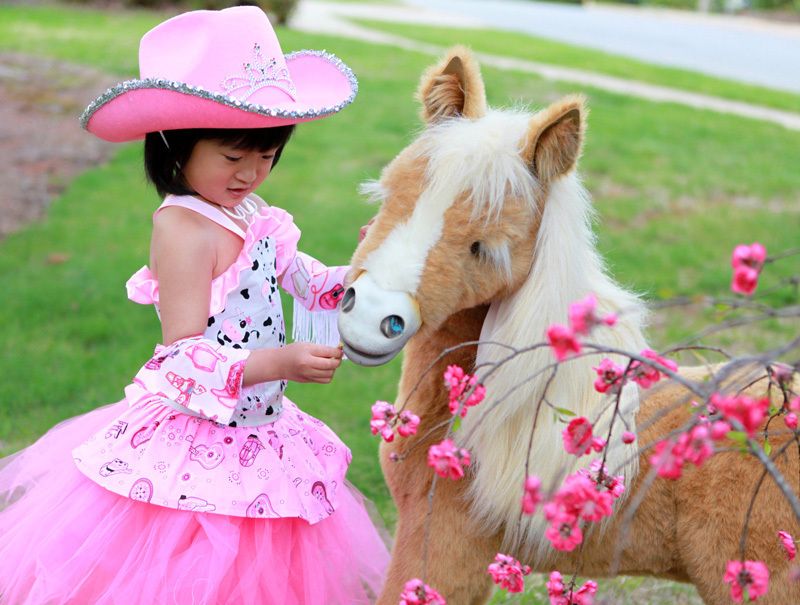 Boutique cowgirl Tutu dress princess birthday pageant halloween dress 