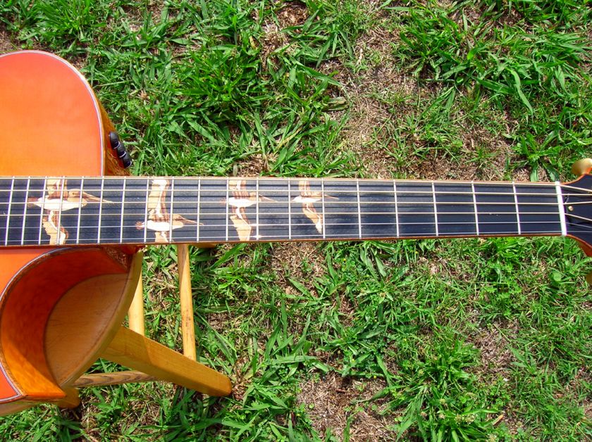 Taylor Custom GA 2011 NAMM Show BTO Lightburst/Pelicans  