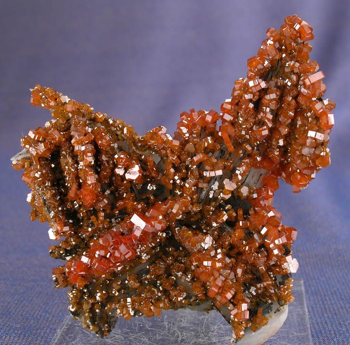   SHINY RED VANADINITE CRYSTALS ON BARITE, MIBLADEN. MOROCCO  