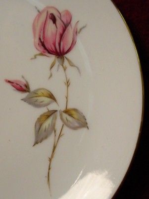 JOHANN HAVILAND china SUMMER ROSE Cup & Saucer Set  