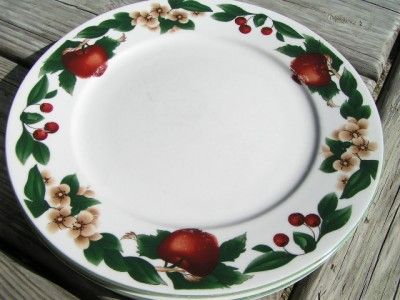 Cades Cove Collection by Citation LOT 3 DINNER PLATES u  