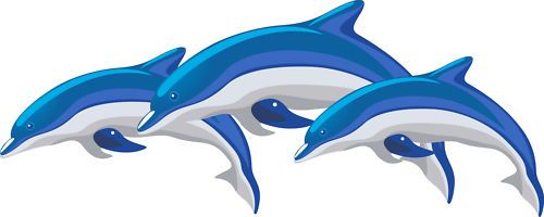 Dolphin boat graphics decals fishing campervan  