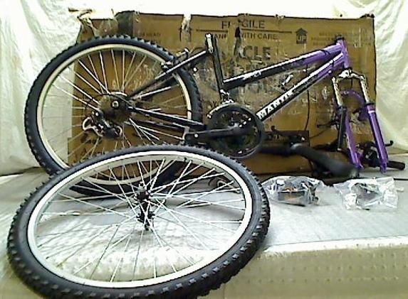 Mantis Raptor Girls 24  Inch Bike, Purple/Black $289.99 TADD  