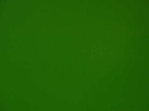 2lb Powder Coating Leaf Green Ral 6002 Poly  