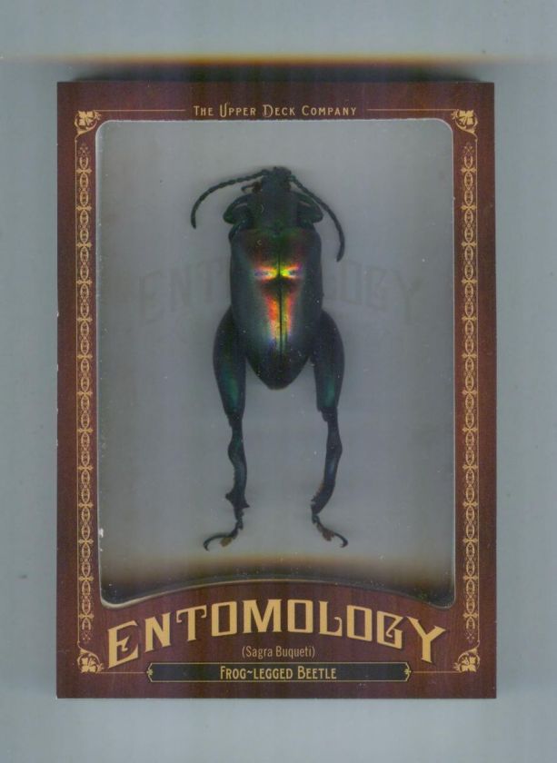   GOODWIN CHAMPIONS #ENT1 FROG LEGGED BEETLE ENTOMOLOGY CARD  