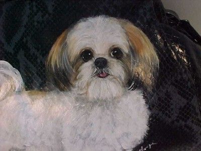 SHIH TZU HANDPAINTED HANDBAG GORGEOUS PURSE   