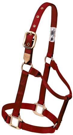 Weaver Leather Classic Nylon Draft Horse Halter Large  