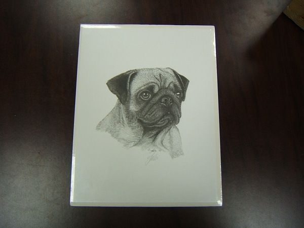 Dog Print Pug pencil sketch hand signed 2002 (jd)  