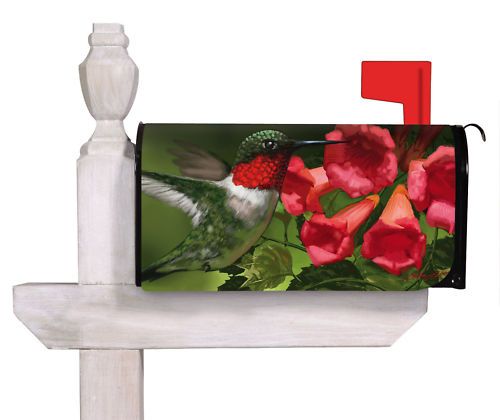 Magnetic Mailbox Cover, Hummingbird Closeup,56380  